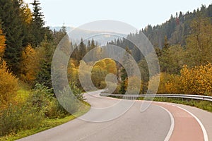 Beautiful view of asphalt road and forest on autumn day