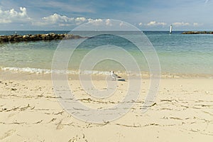 Beautiful view of Atlantic ocean sand beach. Yellow sand turning into dark blue water that merges  with light blue sky.  Key West,