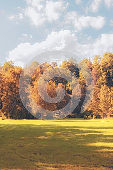 Beautiful view of autumn meadow and forest on Sunny day. Defocused. Background