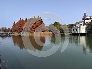 Beautiful view of Bacheng Ecological Wetland Park during autumn session