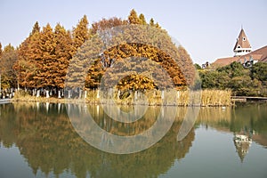 Beautiful view of Bacheng Ecological Wetland Park during autumn session