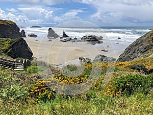 A beautiful view of Bandon beach in Bandon, Oregon, with the headlands and beautiful coast exposed at low tide for people to explo