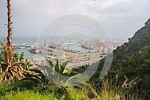 Beautiful view on the Barcelona port. Green hills of the Montjuic mountain. Industrial ships on background. Huge aloe and cactus