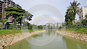 Beautiful view of BBMP Kalena Agrahara Lake. Spread across seven acres with freshwater, thick greenery lake