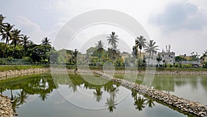 Beautiful view of BBMP Kalena Agrahara Lake. Spread across seven acres with freshwater, thick greenery lake