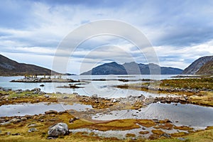 Beautiful view of beach with blue sky, Lofoten, Norway