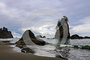 Beautiful view of the beach in the Olympic National Park, Washington, USA