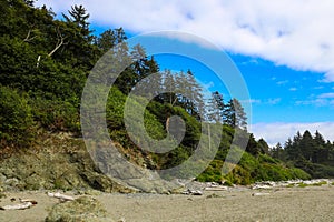 Beautiful view of the beach in the Olympic National Park, Washington, USA