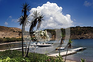 A beautiful view of a beach, palm tree and boats in the magical island of Patmos, Greece in summer time