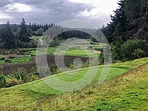 A beautiful view of a beautiful par 3 golf hole with the Oregon forests in the background and the shot requires carrying a marsh