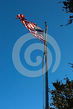 Beautiful view from below of the American flag