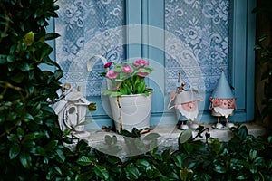 Beautiful view of a blue framed window with pink flowers in the pot and garden gnomes