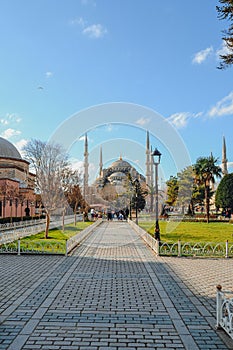 beautiful view Blue Mosque of Turkey (Sultanahmet Camii), view from parkside, Istanbul