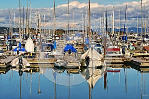 Beautiful view of boats docked at the Marina on 
 a sunny day in Victoria