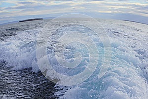 Beautiful view of boiling green sea water with turning wave. View to Marta Island, Seno Otway. Patagonia, Chile.