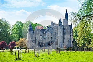 Beautiful view of Bornem Castle near Antwerp photo