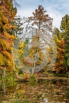 Beautiful view on Bratislava park lake, late autumn