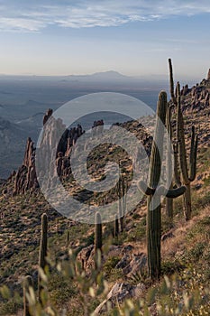 Beautiful view of cactus desert in Kearney Spring, Arizona