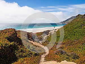 A beautiful view of California's coastline along Highway 1, Big Sur