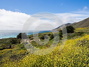 A beautiful view of California's coastline along Highway 1, Big Sur