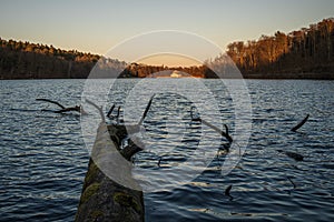 Beautiful view of a calm Burke Lake in Fairfax County, â€‹Virginia, USA