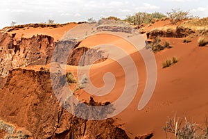 Beautiful view of the canyon erosion furrows, in the reserve Tsingy Ankarana, Madagascar