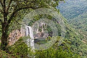 Beautiful view of Caracol Waterfall Snail Waterfall - Canela- Rio Grande do Sul - Brazil