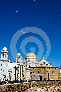 Beautiful view of The Cathedral Nueva in Cadiz photo