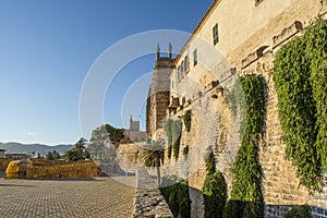 beautiful view of cathedral in Palma de Mallorca, Spain