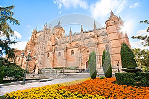 Beautiful view of Cathedral of Salamanca, Leon region, Spain photo