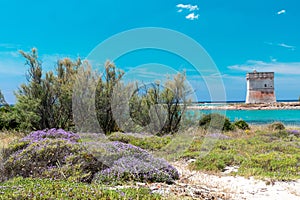 Beautiful view of the Chianca Tower near Porto Cesareo in Italy