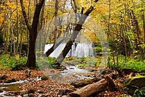 Beautiful view of Choshi waterfall at Oirase stream