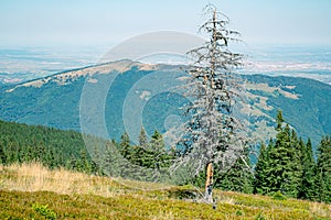 beautiful view from Cindrel mountains