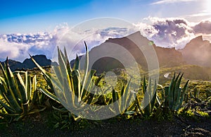 Beautiful view with clouds near Masca Gorge, Tenerife, Canary Is