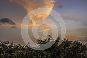 Beautiful view of the cloudy sky during sunset, casting its golden hues over tropical trees.