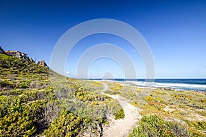 Beautiful view of the coast at Bosbokduin Nature Reserve in Still Bay, South Africa.