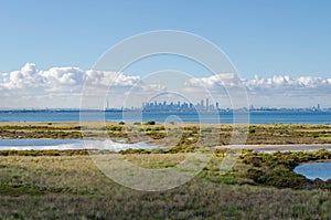 Beautiful view of the coastal wetland against the blue sea on the outskirt of Melbourne`s urban area.