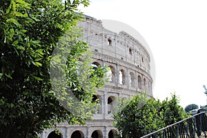 Beautiful view of colosseum in rome italy