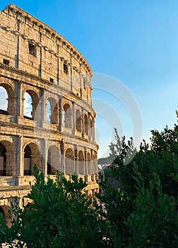 Beautiful view of the Colosseum at sunset with green plants and blue sky, Rome