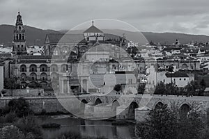 Beautiful view of the Cordoba cityscape in grayscale