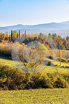 Beautiful view of country hills in fall near Frosini, Siena province, Italy