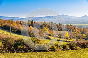 Beautiful view of country hills in fall near Frosini, Siena province, Italy