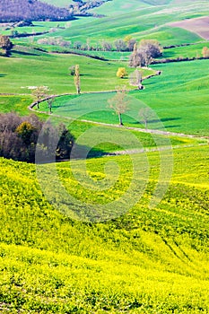 Beautiful view of the country hills near Siena, tuscany, Italy, in springtime