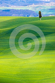 Beautiful view of the country hills near Siena, tuscany, Italy, in springtime