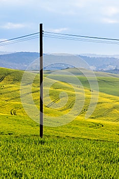 Beautiful view of the country hills near Siena, tuscany, Italy, in springtime