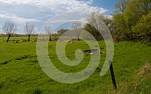 View of the countryside of Harchies, Belgium photo