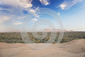 Beautiful view of the date grove from Gebel al-Mawta in Siwa Oasis