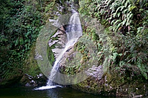 Beautiful view of the Dorothy Falls in Kokatahi, New Zealand