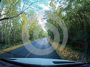 The beautiful view while driving of the changing leaves on the Blue Ridge Parkway