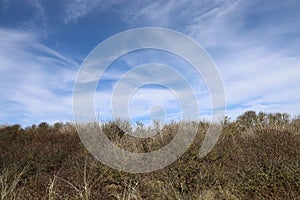 Beautiful view of a dry grassy field near Nr. Lyngby, Denmark